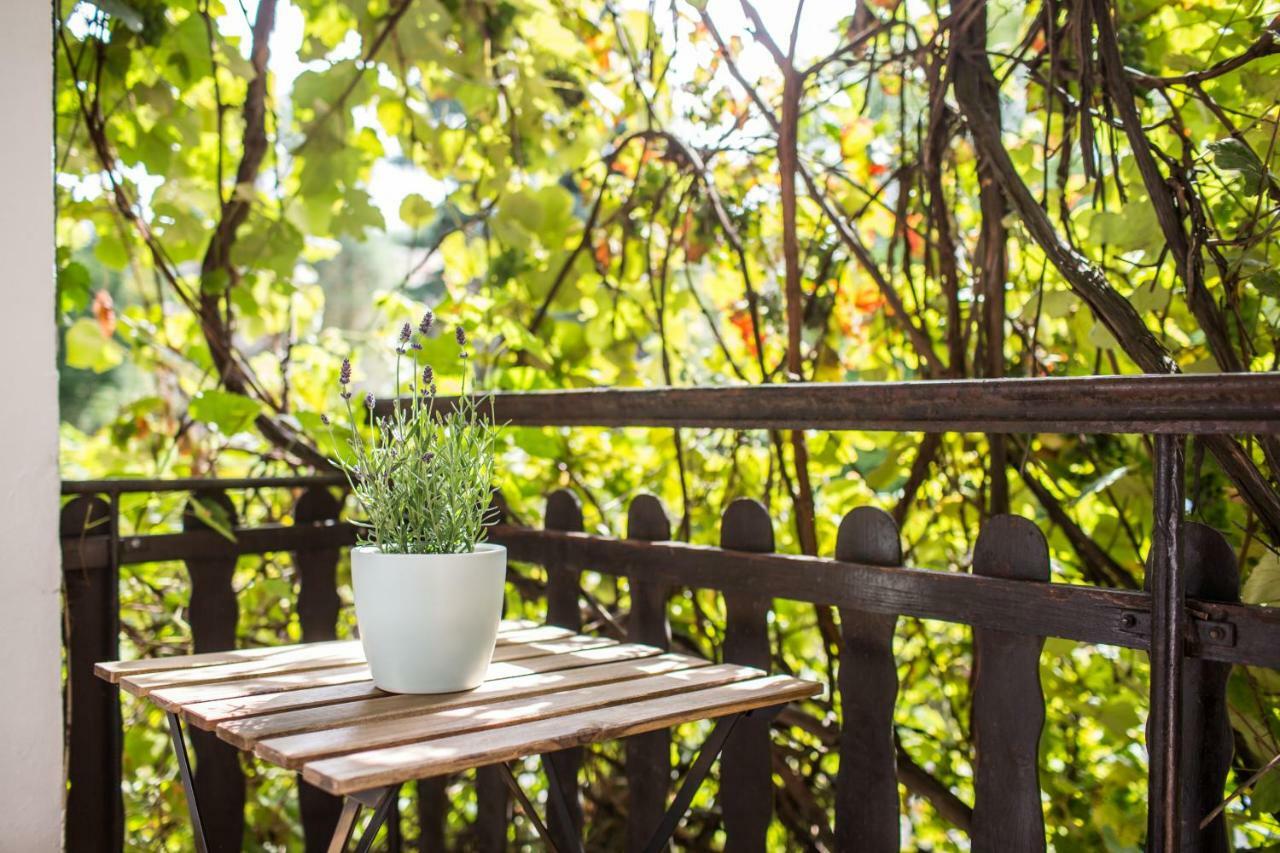 Apartament Pod Winogronami Krakow Dış mekan fotoğraf